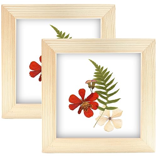 Lekaiya 5X5 Picture Frames Set Of 2, Square Natural Wood Grain Photo Frame For Tabletop Or Wall Mounting #TOP18