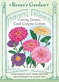 Zinnia, Cool Crayon Colors