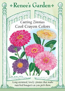 Zinnia, Cool Crayon Colors Zinnia, Cool Crayon Colors
