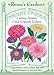 Zinnia, Cool Crayon Colors