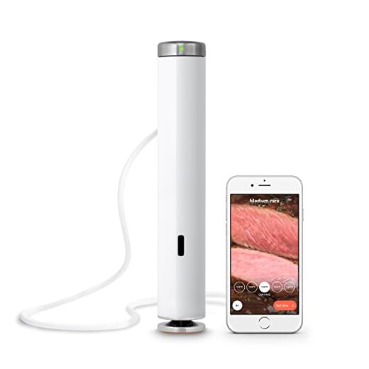 Breville Joule Sous Vide, Stainless Steel, CS10001