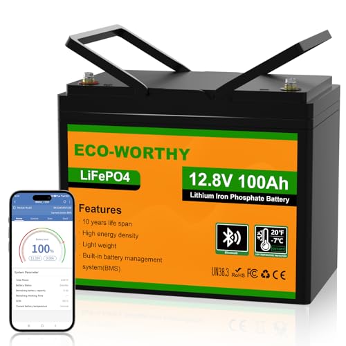 ECO-WORTHY LiFePO4 100 Ah Bluetooth, batteria al litio 12 V 100 Ah con protezione BMS a bassa temperatura e max. 15000 cicli, batteria da 1280 Wh per camper, barca, pannello solare