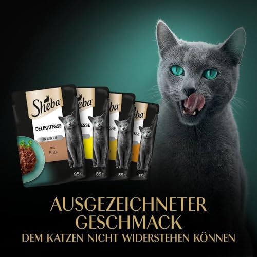 Sheba Delikatesse in Gelee, Katzen Nassfutter mit feiner Geflügelauswahl, 40 x 85g