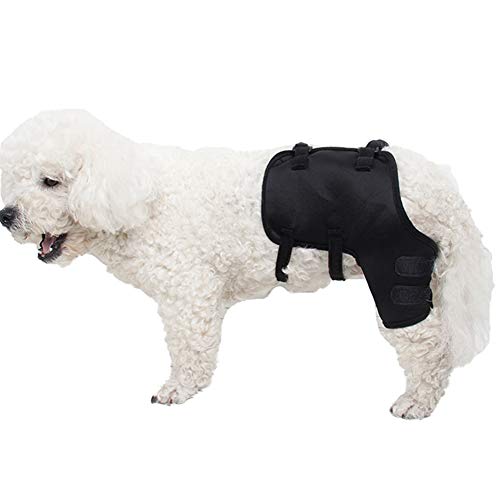 Best Dog Knee Braces in 2020 Ratings, Prices, Products ACuteADay