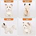 CU-MATE Plush Siberian Husky Stuffed Dog & Plush Gray Ragdoll Simulation Electronic Cat