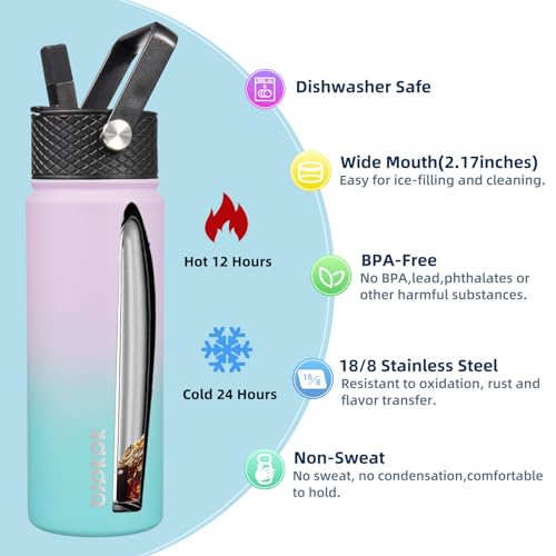 Image of BJPKPK 2 Pack 22oz Insulated Water Bottles with Straw Lids, Stainless Steel
