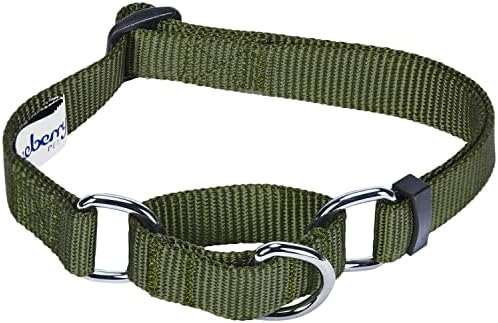 Blueberry Pet Essentials Martingale Safety Training Dog Collar, Military Green, Small, Heavy Duty Nylon Adjustable Collars for Dogs