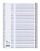 Produktbild ELBA 400001071 Universal-Register 10er Pack blanko 12 Blatt 12-teilig A4 aus Kunststoff Plastikregister grau Ordner Ring-mappe Ringbuch Hefter