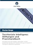 Territoriale Intelligenz: Stiftungen und Praxishandbuch: Konzeptionelle Grundlagen, Fallstudien und ein praktisches Handbuch für die Einrichtung von lokalen IT-Intelligence-Beobachtungsstellen
