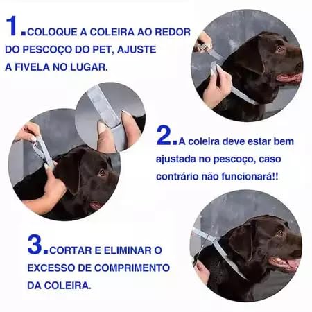 Kit 4 Coleira Repelente de Insetos para Cães e Gatos Contra,Carrapatos e Leishmaniose, Proteção Ajus