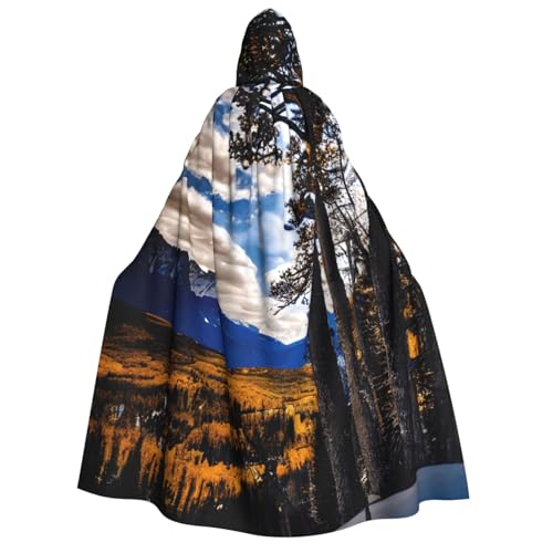 Cape magicien et vampire adulte résolvant le problème de costume Halloween mixte