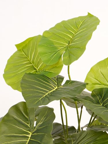 Image of ARICK DECOR Artificial Dieffenbachia Plant |Big Ornamental Plant Artificial Plant for Interior Decor /Home Decor /Office Decor|18 Leaves with Basic Black Pot (Green-AD-C)