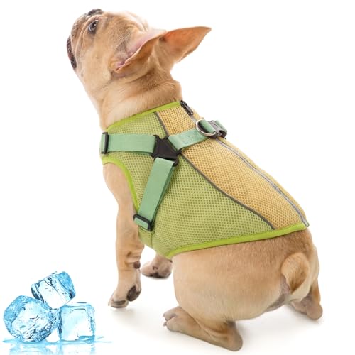 Pettorina Rinfrescante per Cani, Gilet di Raffreddamento per Cani per Passeggiate e Campeggio, Sollievo Immediato dal Caldo e Prevenzione del Surriscaldamento(Verde, S)
