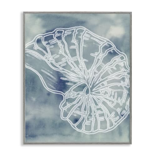 Nautical Spiral Seashell Sea Life, 24 x 30 Inch Framed Giclée Print