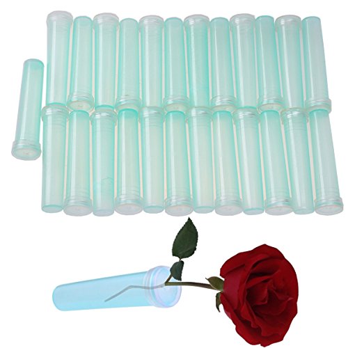 WCIC 25PCS Floral Water Tubes, Floral Vials For Flower Arrangements