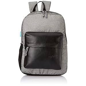 F Gear Emprise Grey, Black 23 Ltrs Backpack (3363)