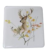 neutettau porzellan stempel Kantenschlagfestigkeit Königlich Tettau Untersetzer Rothirsch 9cm x 9cm cm Porzellan