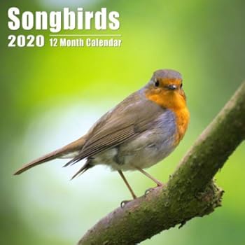 Mini Calendar 2020 7x7 Songbirds : High Quality Songbird Photos Small Calendar with Inspirational Quotes Each Month
