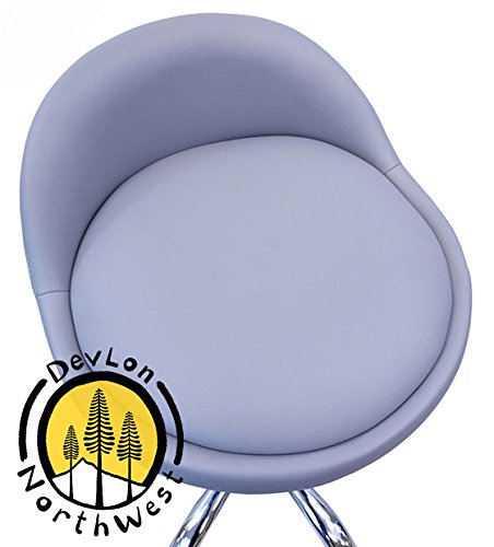 DevLon NorthWest Salon Stool with Back Rest Saddle Hydraulic Spa Stool (LIGHT GRAY)