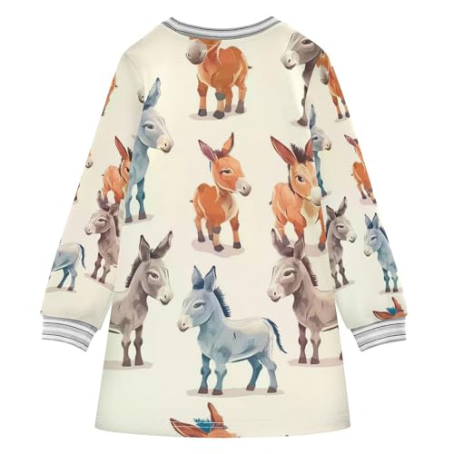 Girls Sweatshirt Dress Pullover Long Sleeve Sweater Dress Casual Toddler Girl Dress 2-8 Years2