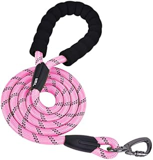 Amazon Brand - Umi Dog Leash, 5 FT Durable Nylon Dog Leash with Comfortable Padded Handle, Highly Reflective Threads for Small and Medium Dogs
