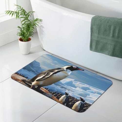 Tapis de bain en pierre terre de diatomée antidérapant et lavable 60x40