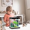 Betta Fish Tank Self Cleaning 2 Gallon Small Aquarium Starter Kits Desktop Room Decor w/LED Light Decorations & Whisper Filters Water Pump (260V2)