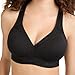 Champion Womens Bra, Curvy Moderate Support Low Cut For Sports Bra, Black, Large US