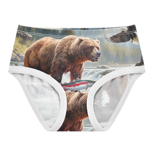 Brown Bear River Mountain Toddler Girls Underwear 2t Cotton Panties for Girl Colorful Briefs Girls Undies
