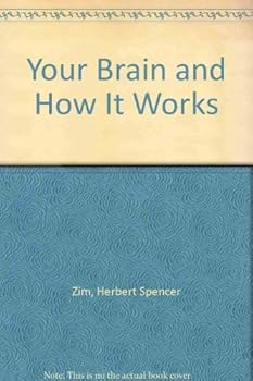 Your brain and how it works