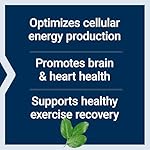Life Extension Optimized Carnitine, Three Forms of L-carnitine, Promotes Heart & Brain Health, Gluten Free, Non-GMO, Vegetarian, 60 Capsules - Image 4