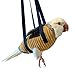 DRESSO Portable Bird Carrier Bag, Escape Resistant Parrot Carrier Bag Harness for Small Medium Parrots, Cockatiel,Green-cheeked Conure, Random Color