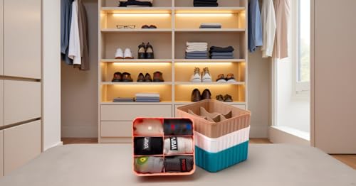 Image of Leawall 6-Compartment Wardrobe Organizer drawers organisers for Underwear, Socks, Bras, Ties, Scarves & Undergarments,storage box and organiser, Socks organizer Socks Tray (2 Pcs,Multicolor)