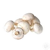 Champignon White Button Mushroom (Agaricus bisporus) Mycelium Spawn Dried Seeds (25g) by Garden Pleasure