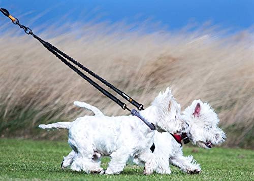 Sweetie Dog Lead Splitter  Dual Shock Absorbing Bungee Double Leash Coupler - Perfect Leads for Walking 2 Small to Medium Dogs on One Lead - No Tangle 360° Swivel Clip - Reflective Stitching