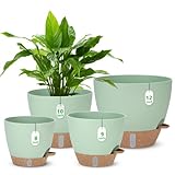 Macetas de riego automático de 12, maceta