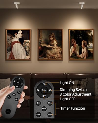 Image of EZVALO Spot Lights Indoor, 5500mAh Rechargeable Picture Lights with Remote, Wireless Mini Art Accent Spotlights with Timer & Dimmable, 3-CCT, Uplights Indoor for Plants, Display (2-Pack-White)
