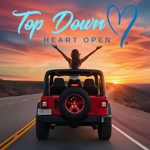 Couverture de Top Down Heart Open