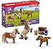 Produktbild Schleich - Mini -Shetlands Familie - 41432 - Pferdesclub -Reichweite