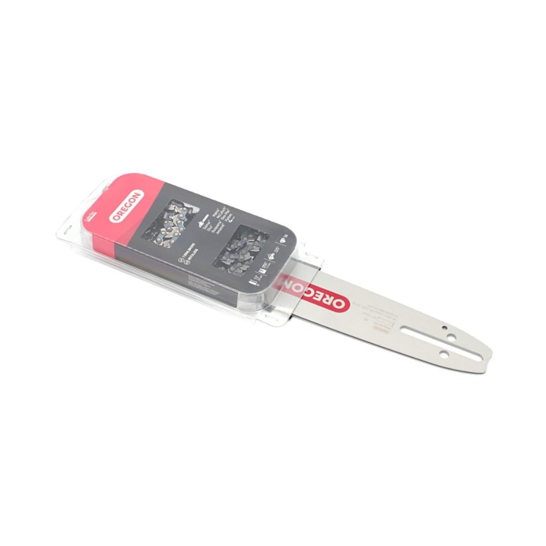 BSD OREGON 543484 - Barra per Motosega con 2 Catene, Barra di Guida 160SDEA074, 2 Catene - 16”