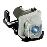 AWO Original Lamp Bulb for BL-FU185A/MC.JGL11.001/ET-LAL320/317-2531 with Housing for OPTOMA DS216,D