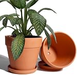 8 Pot en argile de pouce pour plante avec Saucer - 2 Grand pot de terre cuite avec trou de drainage, pot d'argile planteurs, pot de Terracotta pour plante extérieure intérieure
