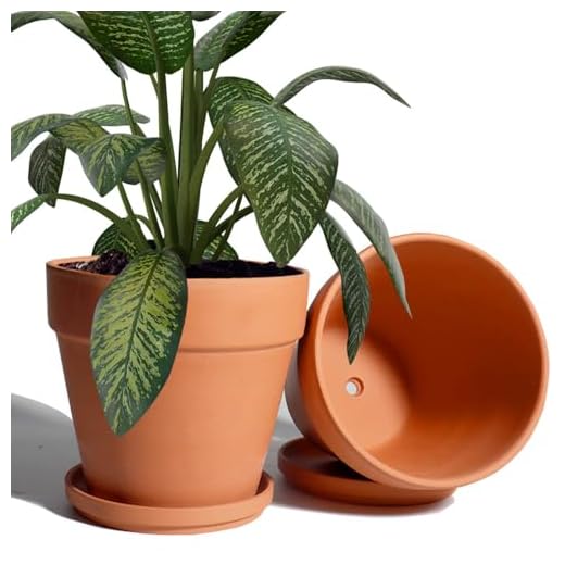 vensovo 8 Inch Clay Pot for Plant with Saucer - 2 Pack Large Terra Cotta Plant Pot with Drainage Hole, Clay Planters Pot, Terracotta pot for Indoor Outdoor Plant