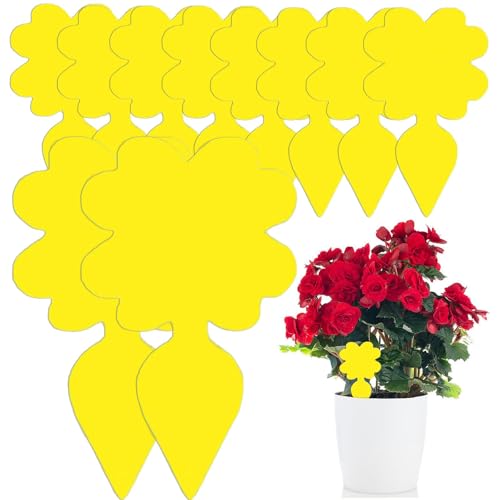 Fruit Fly Trap, 20 Pack Sticky Fly Trap for Indoor Plants, Double-sided Waterproof Fungus Gnat Sticky Traps, Yellow