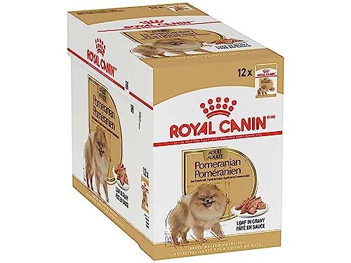 Royal Canin Pomeranian Adult | 12 x 85 g | Alleinfuttermittel für Hunde (Mousse) | Für ausgewachsene und ältere Zwergspitze | Ab dem 8. Monat | Angepassten Mineralstoffgehalt