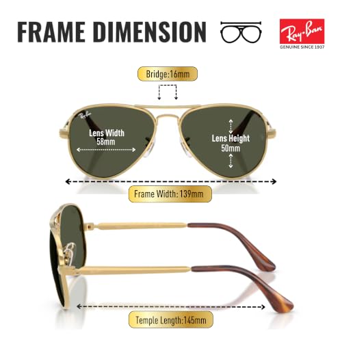 Image of Ray-Ban RB3925 AVIATOR MAX Pilot Sunglasses with Official Eyewear Kit