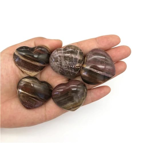 Bois pétrifié en cœur pour une décoration zen et naturelle de votre salon ou bureau