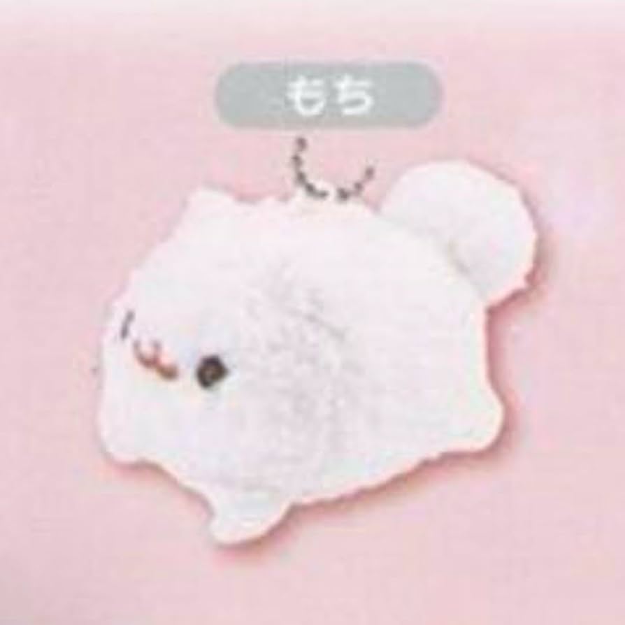 ポメラニアンもち ₺ჯ₺ჯ₺ჯ₺ჯ₺ჯ₺ჯ₺ჯ₺ჯ₺ჯ₺ჯ₺ჯ