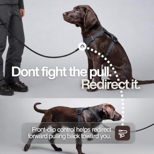 Guardian No Pull Dog Harness, Escape Proof (Maroon, Medium) - Image 4