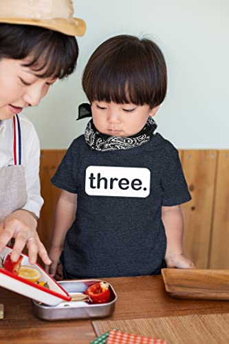 3Rd Birthday Shirt Boy Third Outfit 3 Year Old Toddler Gift Baby Tshirt Party Shirts (Charcoal Black, 2 Years) #TOP2